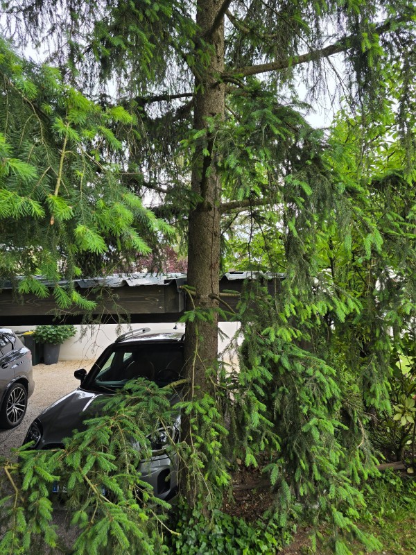 carport 2 voitures sur mesure avec passage d'arbres à Limonest