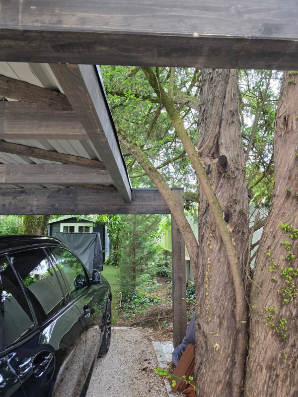 carport 2 voitures sur mesure avec passage d'arbres à Limonest