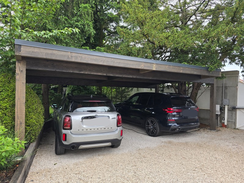 carport 2 voitures sur mesure avec passage d'arbres à Limonest