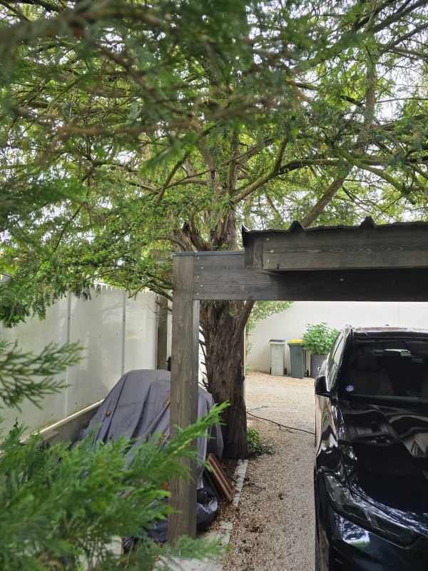 carport 2 voitures sur mesure avec passage d'arbres à Limonest